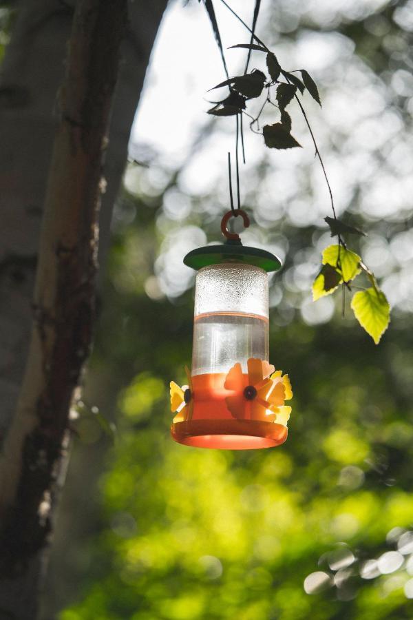 El Colibri De La Naturaleza Lodge Trelew